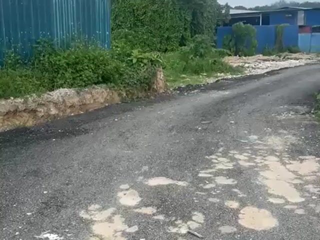 Video Image 1