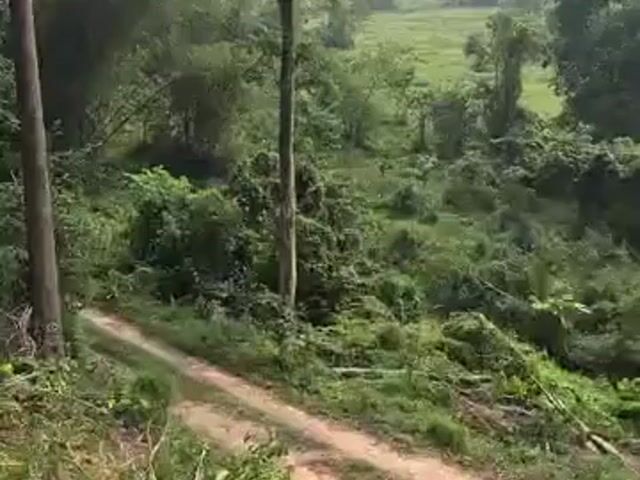 Video Image 1
