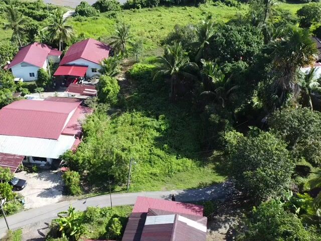 Video Image 1