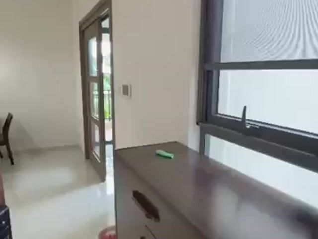 Video Image 1