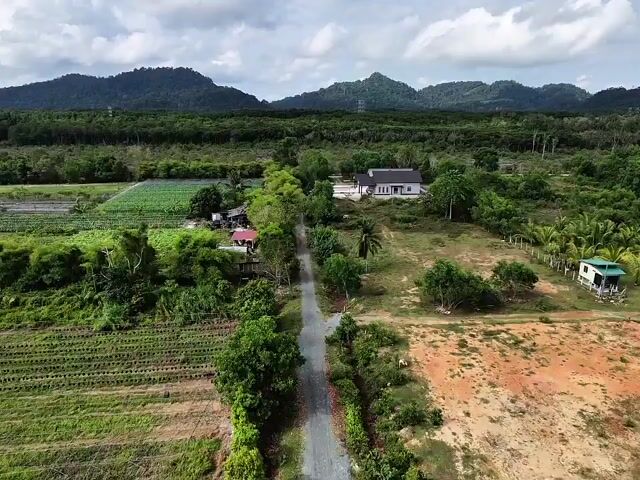 Video Image 1