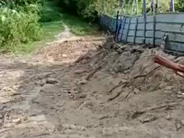 Video Image 1