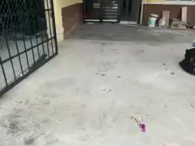 Video Image 1