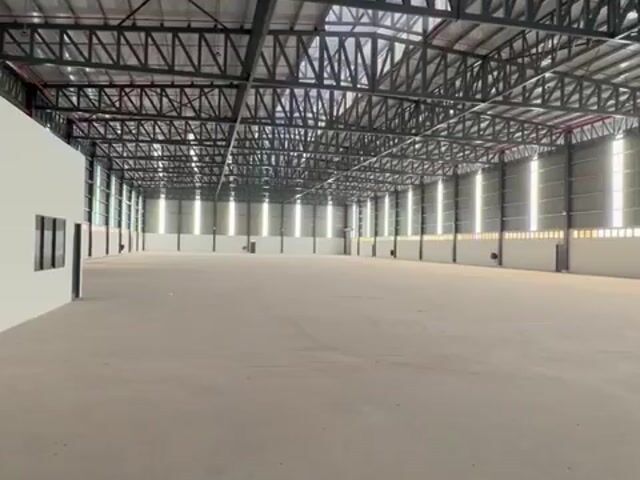 Video Image 1