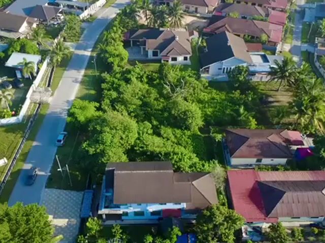 Video Image 1