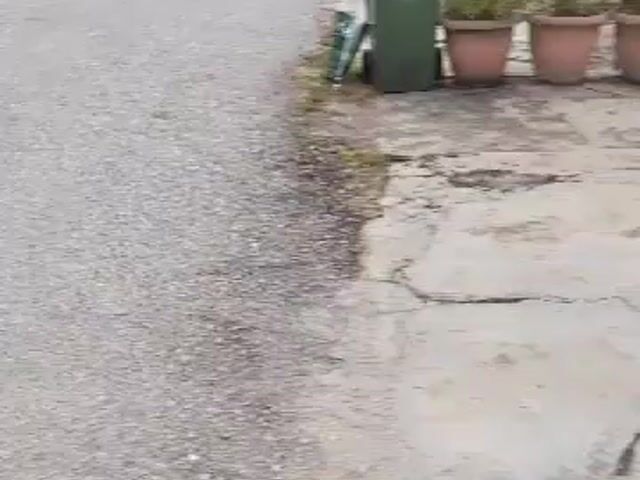 Video Image 1