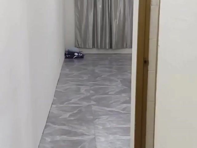 Video Image 1