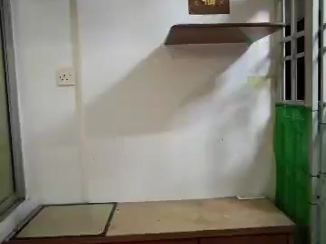 Video Image 1
