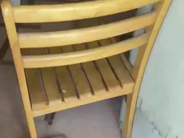 Video Image 1