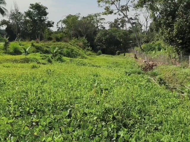 Video Image 1