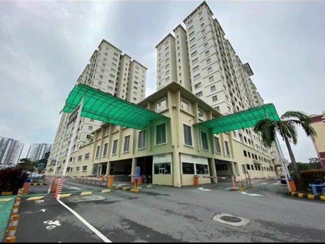 Video Image 1