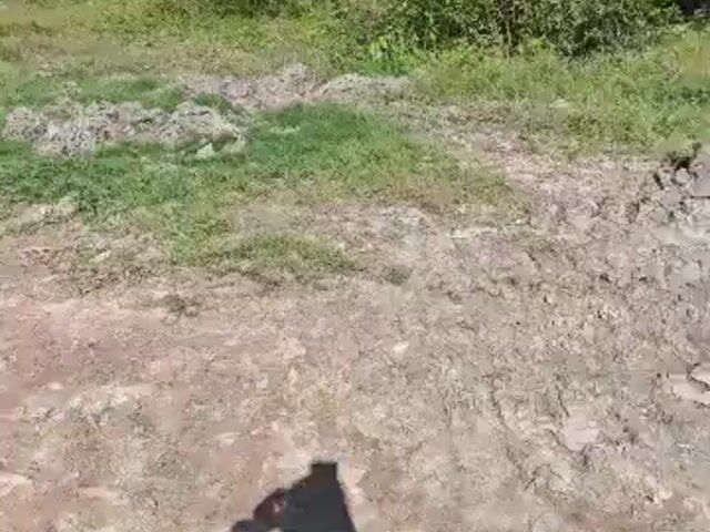 Video Image 1