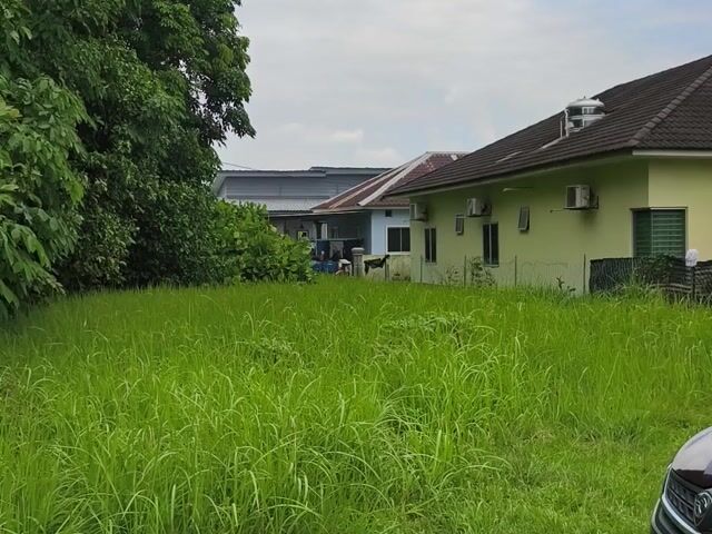 Video Image 1