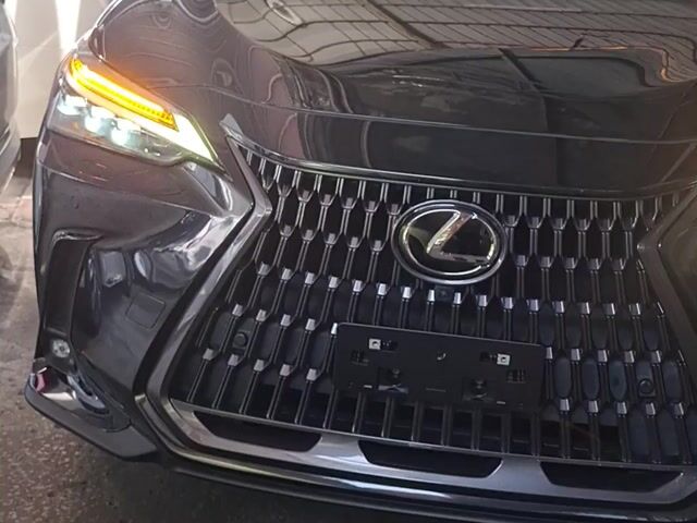 2023 Lexus NX 250 2.5 LUXURY SUNROOF HUD GRADE 5 - 1