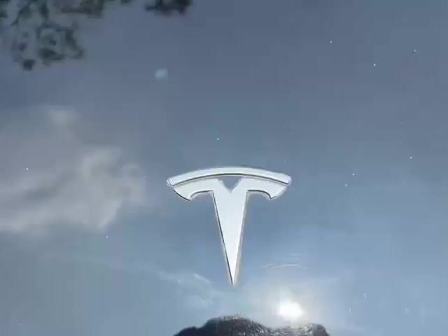 2023 Tesla MODEL 3 1.0 LONG RANGE AWD MY23 (A) - 1