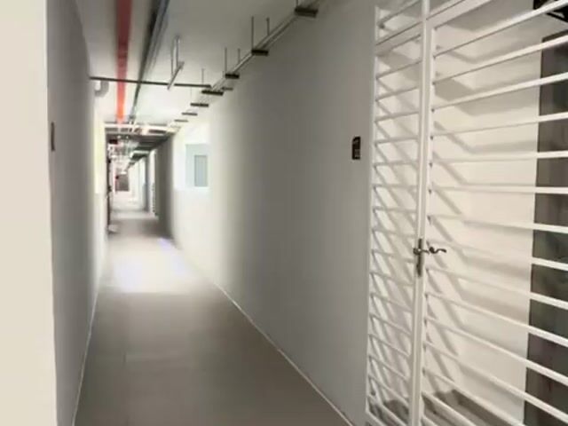 Video Image 1