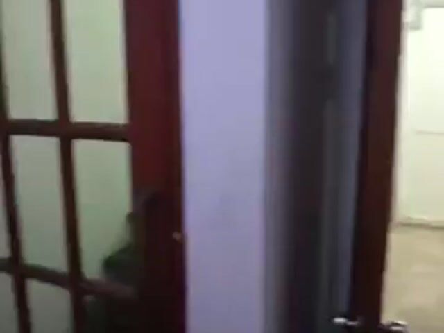 Video Image 1
