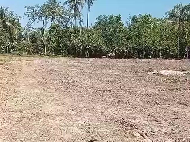 Video Image 1