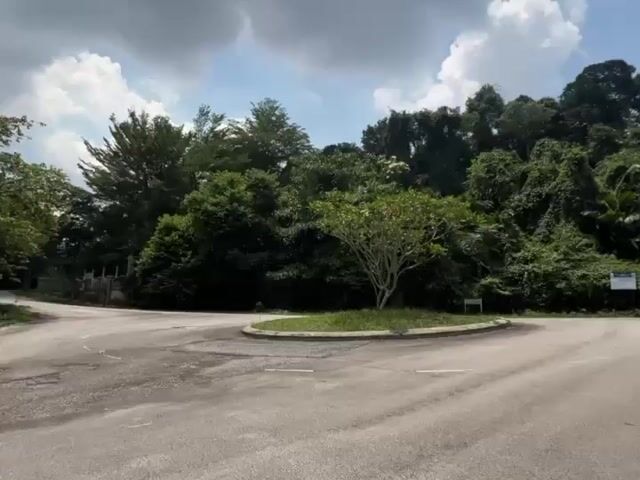 Video Image 1