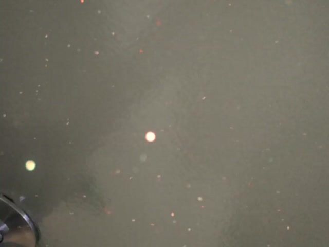 Video Image 1