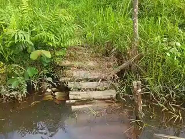 Video Image 1