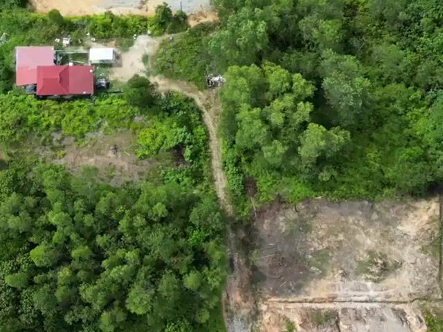 Video Image 1