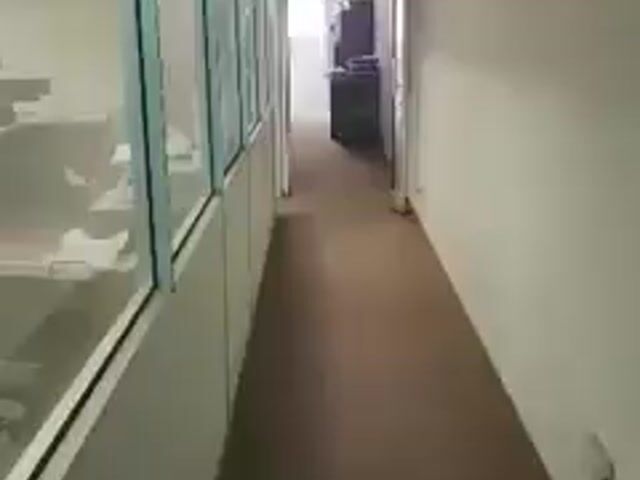Video Image 1