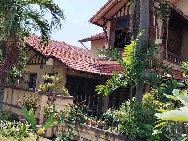 Video Image 1