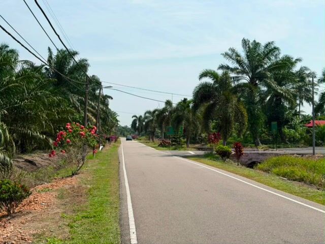 Video Image 1