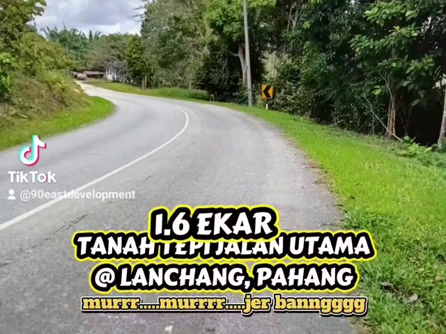 Video Image 1