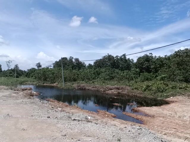 Video Image 1