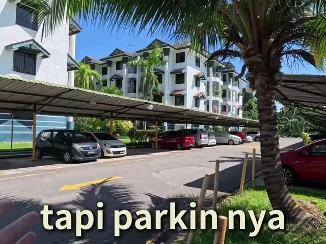 Video Image 1