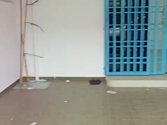 Video Image 1