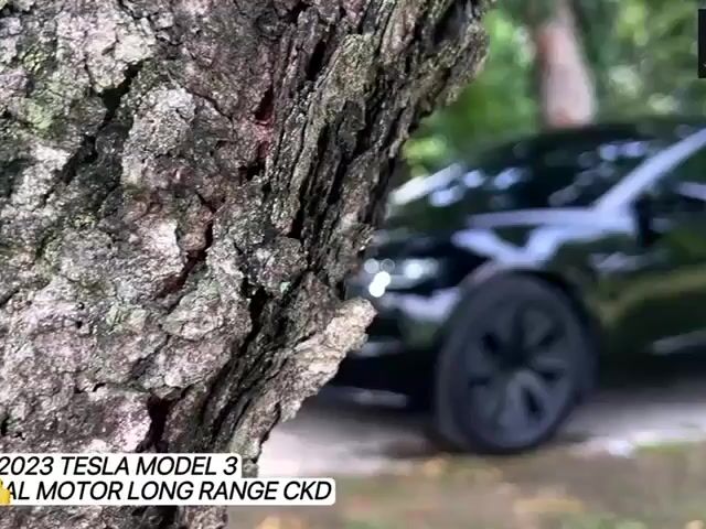 2023/2024 TESLA MODEL 3 AWD DUAL MOTOR LONG RANGe - 1