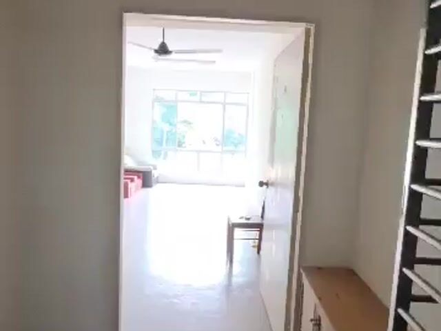 Video Image 1