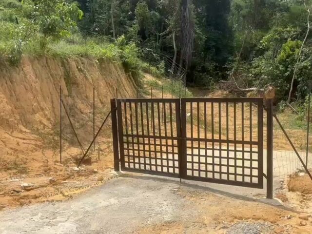 Video Image 1