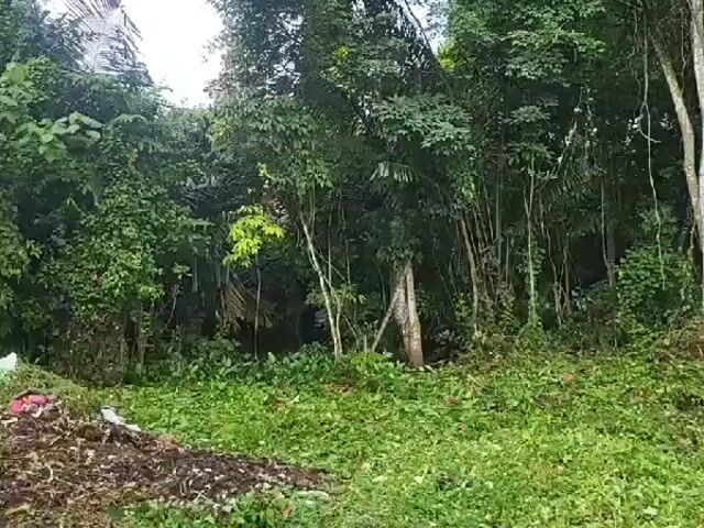 Video Image 1