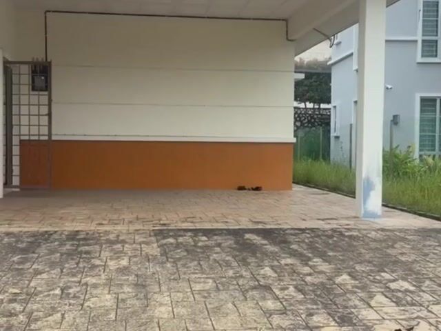 Video Image 1