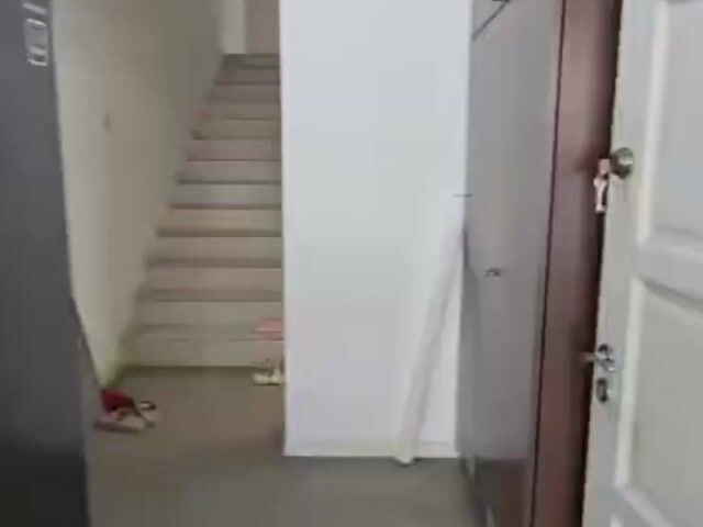Video Image 1