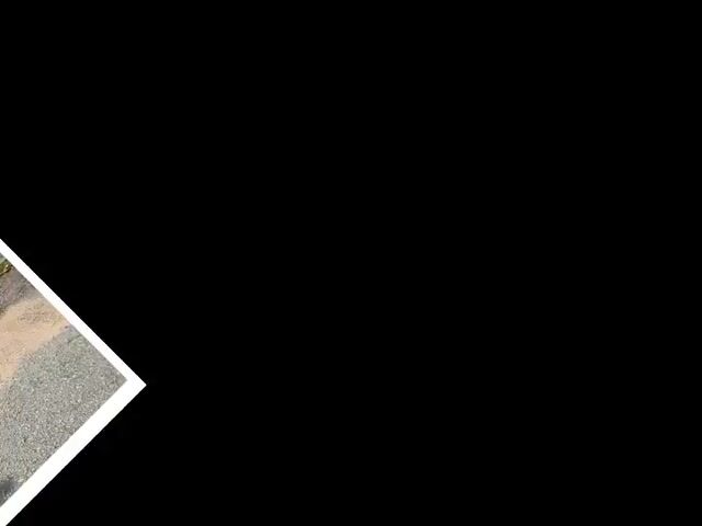 Video Image 1