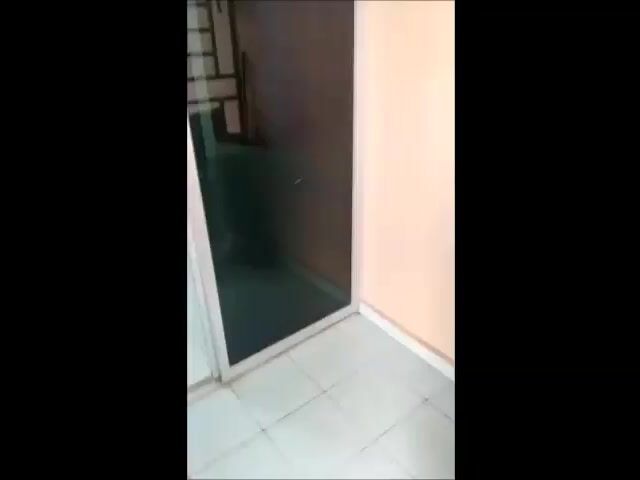 Video Image 1