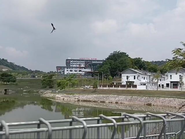Video Image 1