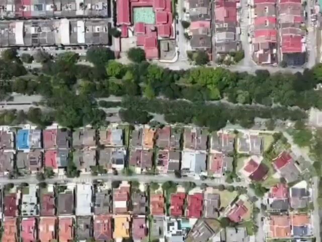 Video Image 1