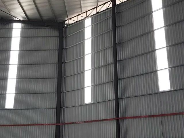 Video Image 1