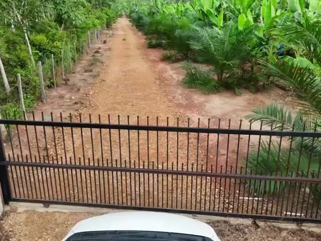 Video Image 1