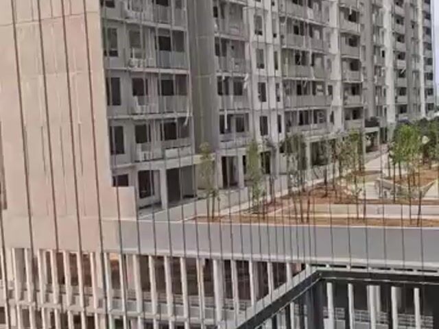 Video Image 1