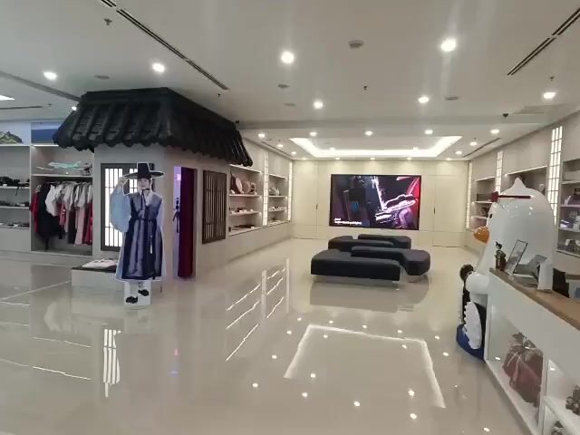 Video Image 1
