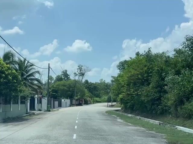 Video Image 1
