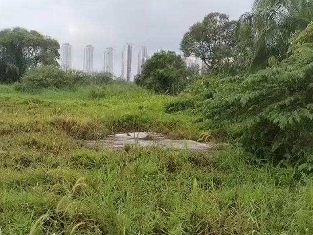 Video Image 1
