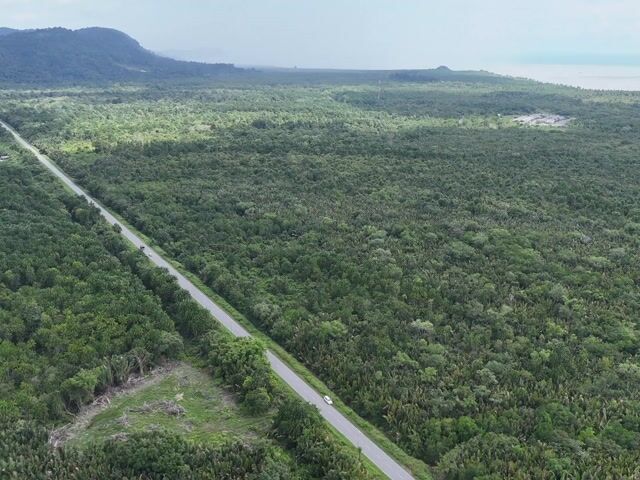 Video Image 1